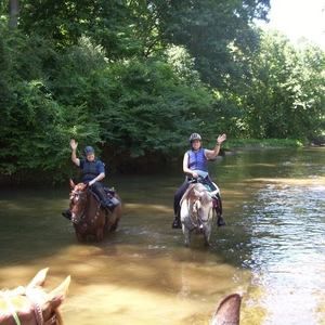 Meet your Posher, Jane